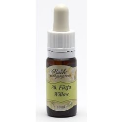 Willow (38. Fűzfa) virágeszencia