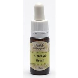 Beech (3. Bükkfa) virágeszencia