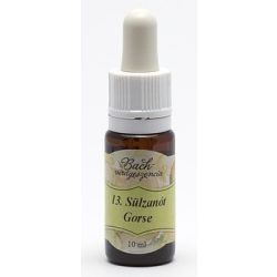 Gorse (13. Sülzanót) virágeszencia